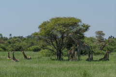 BOS_029_3787