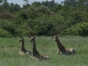 BOS_027_3784