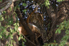 BOS_202_3959