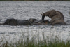 BOS_320_4926