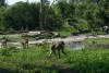 BOS_336_4536