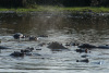 BOS_349_5190