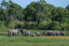 BOS_355_5279