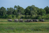 BOS_356_5283