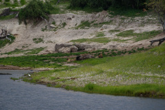 BOS_431_5996