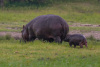 BOS_199_6526