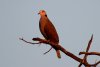 dsc_3673_1_r