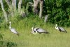 dsc_4128_1_r