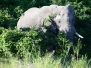botswana27