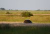 dsc_5715_1_r
