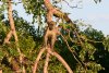 dsc_6196_1_r