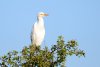 dsc_5454_1_r