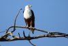 dsc_5476_1_r