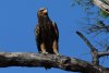 dsc_5895_1_r