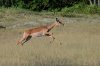 dsc_6662_1_r