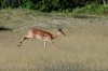 dsc_6663_1_r