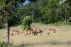 dsc_6665_1_r
