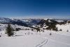 dsc_7823_r