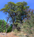 VER_0046-Pano