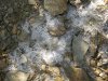 dscn3911_r