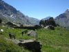 dscn2731_r