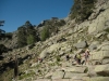 cor_0295_r