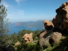 cor_0529_r