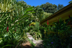 COT_012_0515