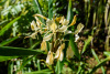 COT_017_0523