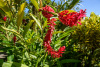 COT_018_0525