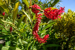COT_018_0525
