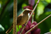 COT_024_0426