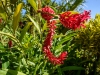 COT_018_0525
