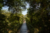 COT_034_0402
