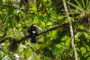 COT_038_0366