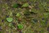 COT_043_0341