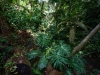 COT_071_0567