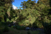 COT_103_0723