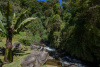 COT_104_0795