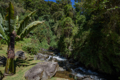 COT_104_0795