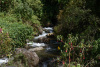 COT_106_1091
