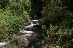 COT_106_1091