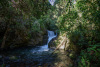 COT_107_0727