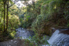COT_108_0735