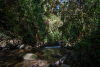 COT_110_0740