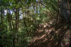 COT_112_0742