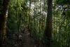 COT_113_0744