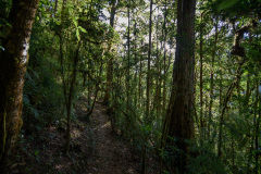 COT_113_0744