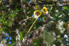COT_139_1020
