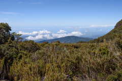 COT_147_1067